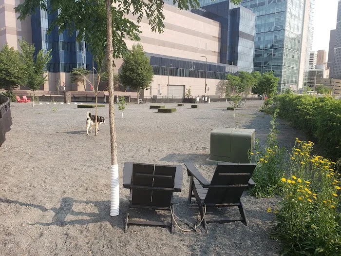 Gateway Dog Park 3