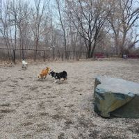 Stone Arch Dog Park ico