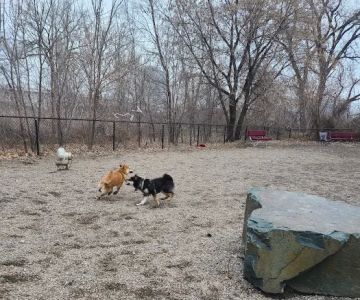 Stone Arch Dog Park