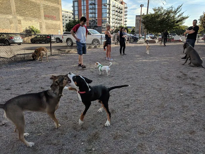 North Loop Dog Park / Off-Leash Play Area 5