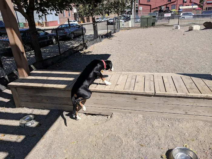 North Loop Dog Park / Off-Leash Play Area 1