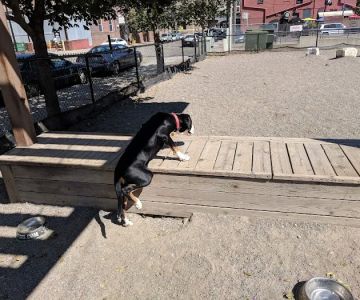 North Loop Dog Park / Off-Leash Play Area