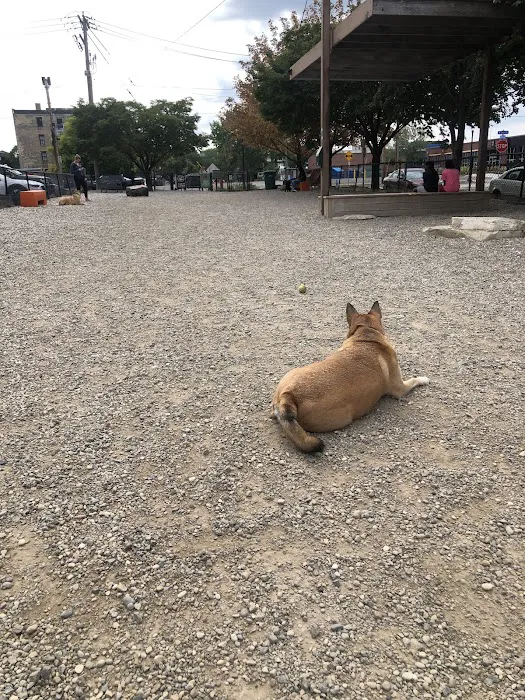 North Loop Dog Park / Off-Leash Play Area 3