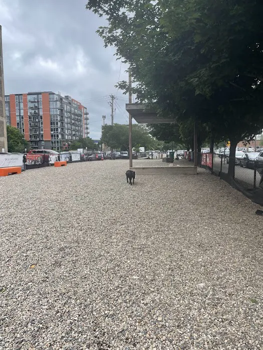 North Loop Dog Park / Off-Leash Play Area 8