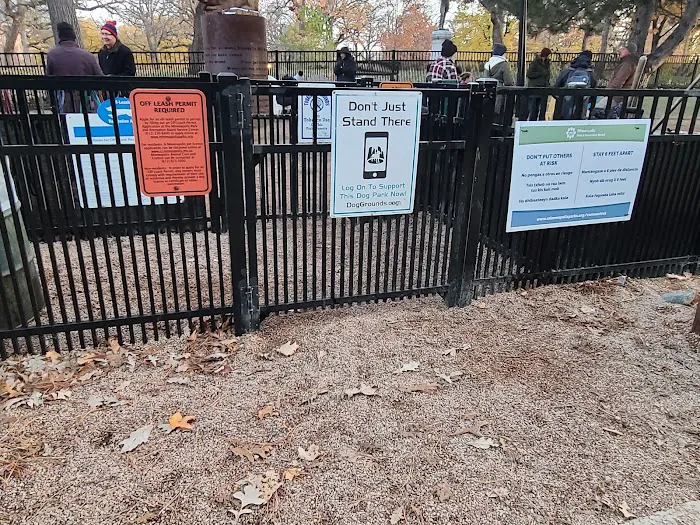 Loring Park Dog Park 1