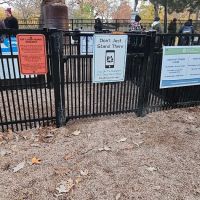Loring Park Dog Park ico
