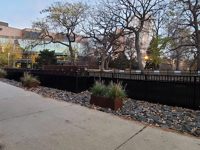 Loring Park Dog Park 4