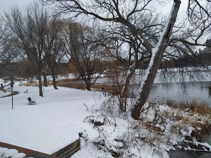 Loring Park Dog Park 9