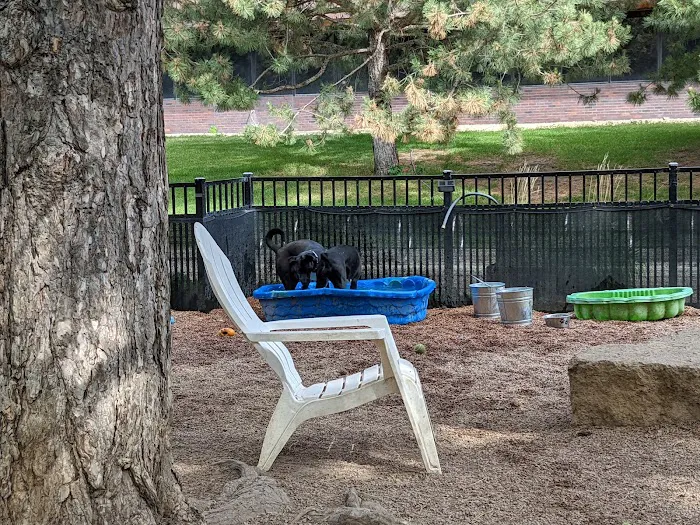Loring Park Dog Park 2