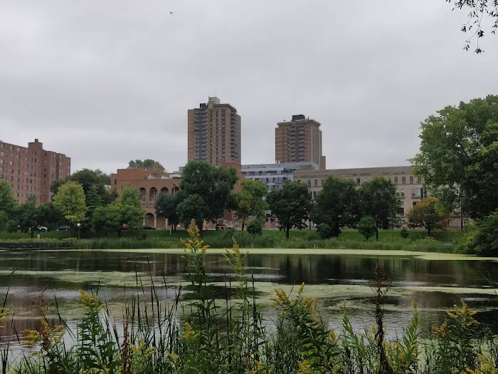 Loring Park Dog Park 3
