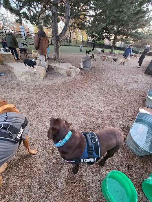 Loring Park Dog Park 10