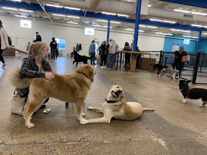 Unleashed Hounds and Hops 1