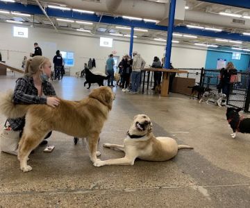 Unleashed Hounds and Hops