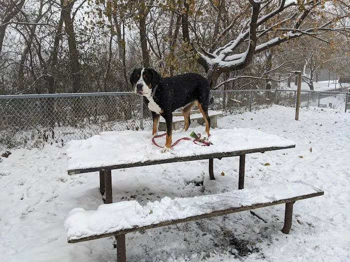 Franklin Terrace Off-Leash Dog Park 8