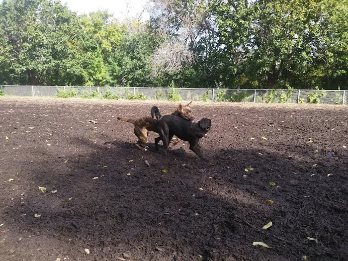 Franklin Terrace Off-Leash Dog Park 4