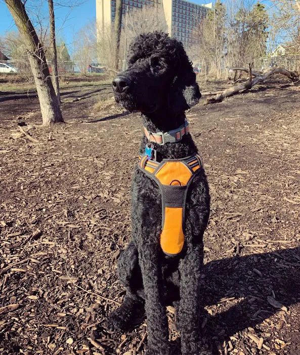 Franklin Terrace Off-Leash Dog Park 9