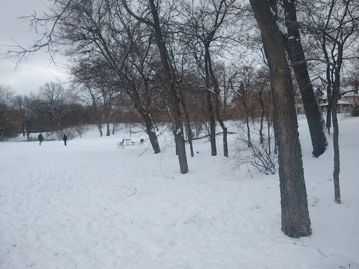 Franklin Terrace Off-Leash Dog Park 1