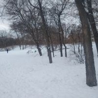 Franklin Terrace Off-Leash Dog Park ico
