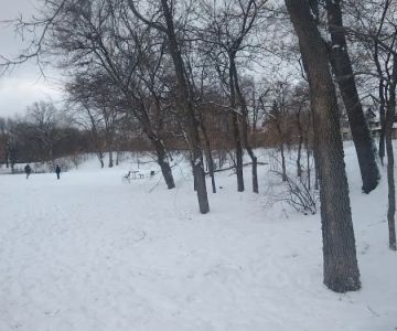 Franklin Terrace Off-Leash Dog Park