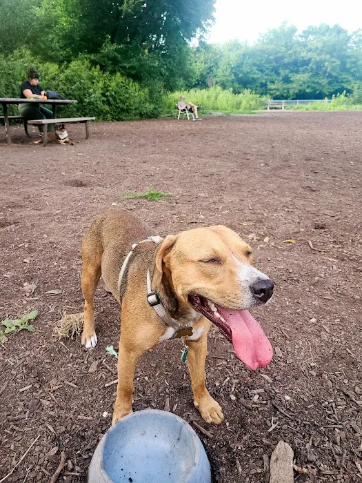 Franklin Terrace Off-Leash Dog Park 6