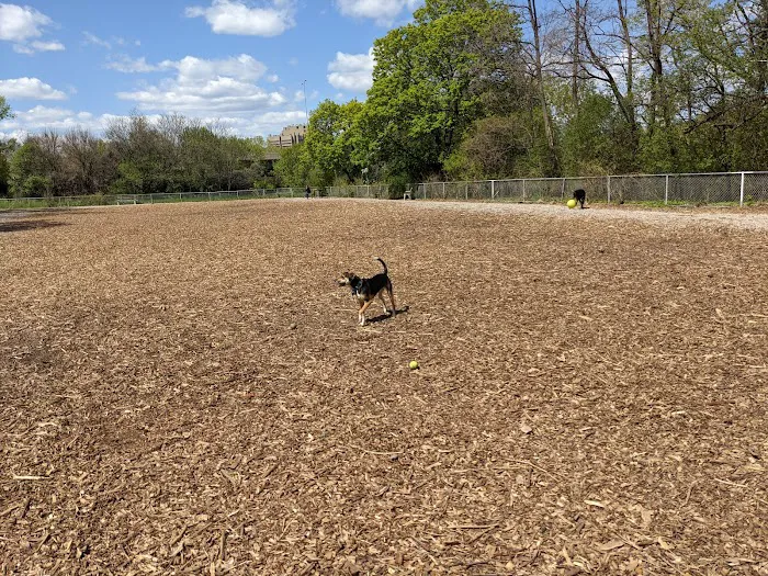 Franklin Terrace Off-Leash Dog Park 5
