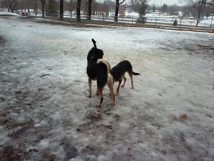 St. Anthony Parkway Off-Leash Dog Park 8