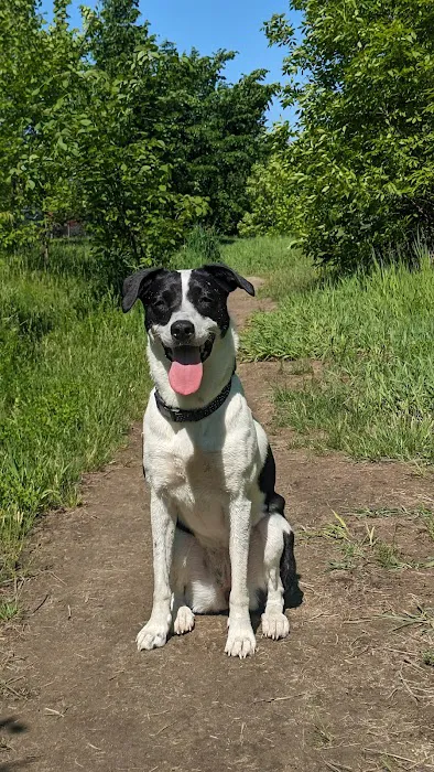 St. Anthony Parkway Off-Leash Dog Park 3