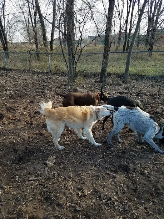 St. Anthony Parkway Off-Leash Dog Park 7