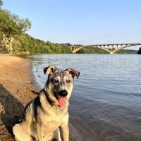 Meeker Island Dog Park ico