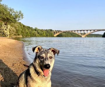 Meeker Island Dog Park