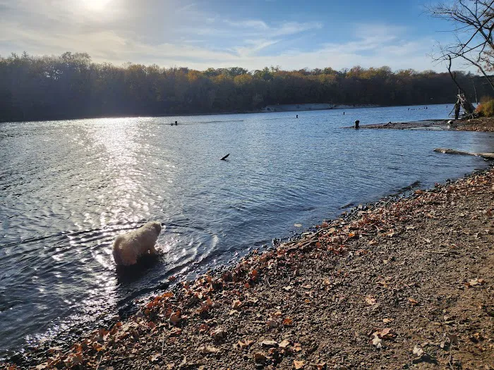 Meeker Island Dog Park 2