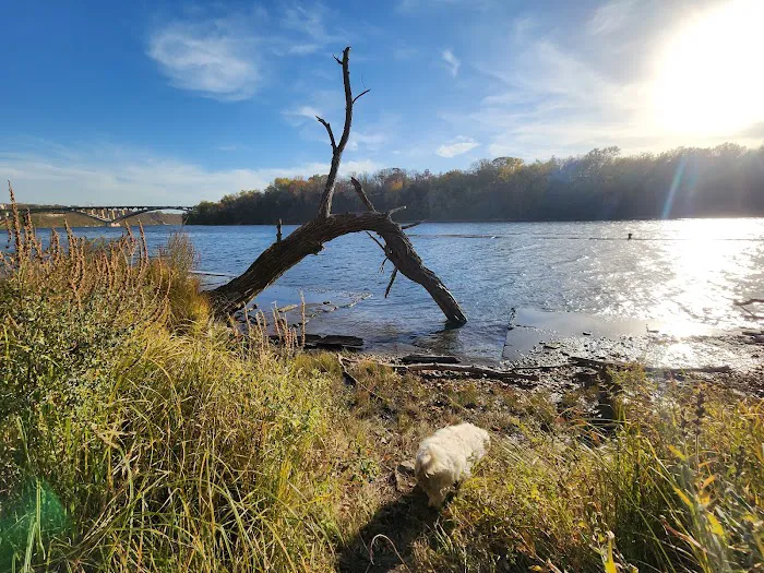 Meeker Island Dog Park 5