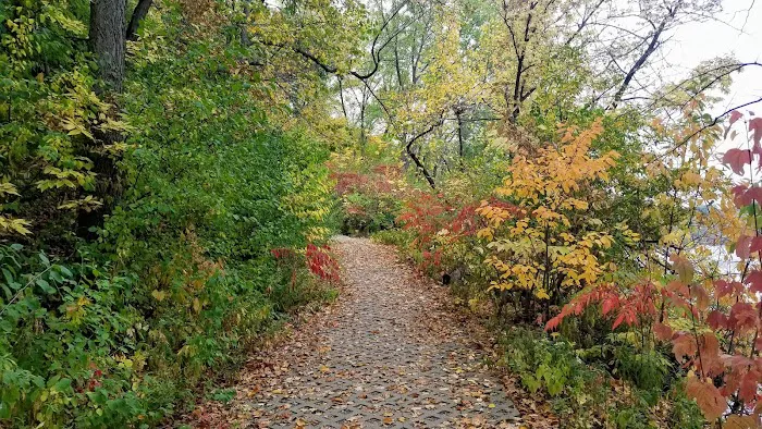Meeker Island Dog Park 4