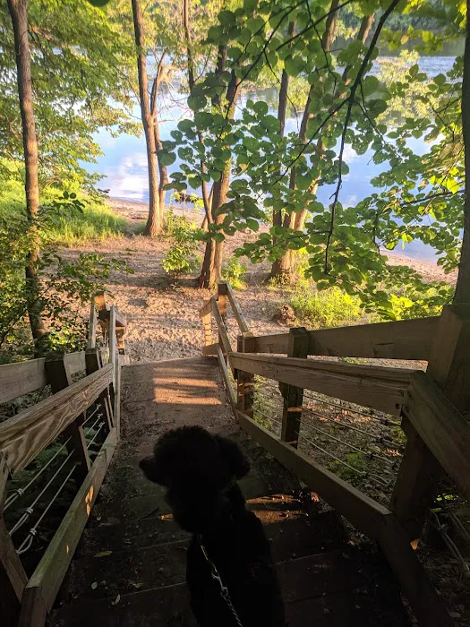 Meeker Island Dog Park 9