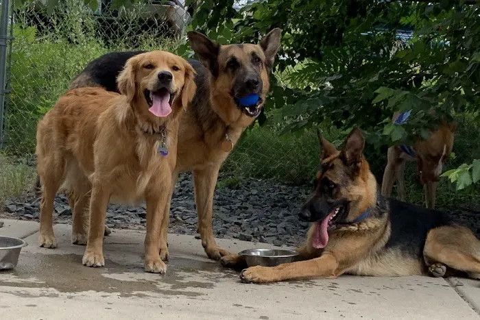 Lyndale Farmstead Dog Park 5