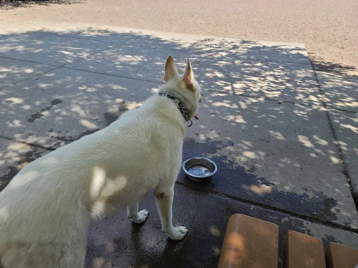Lyndale Farmstead Dog Park 6