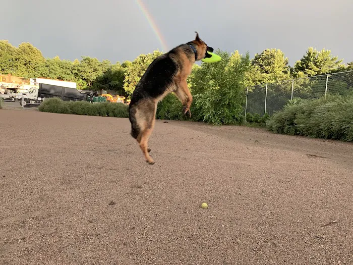Lyndale Farmstead Dog Park 10