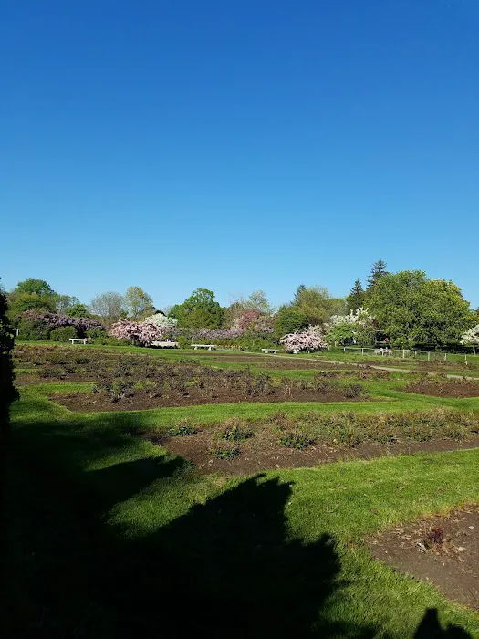 Lyndale Farmstead Dog Park 7