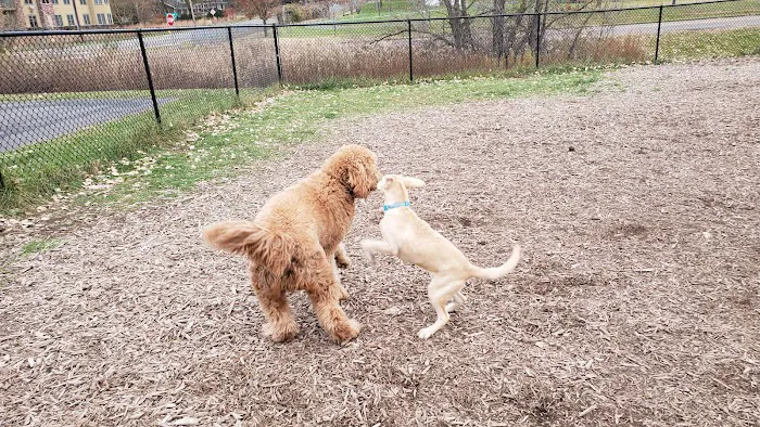 Lauderdale Dog Park 10