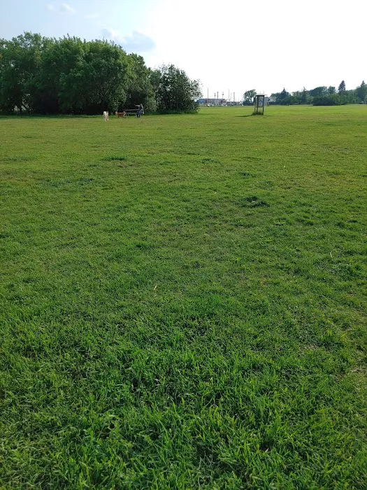 Lauderdale Dog Park 8