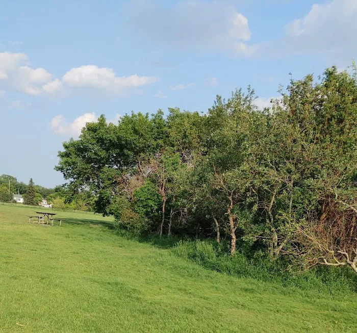 Lauderdale Dog Park 6
