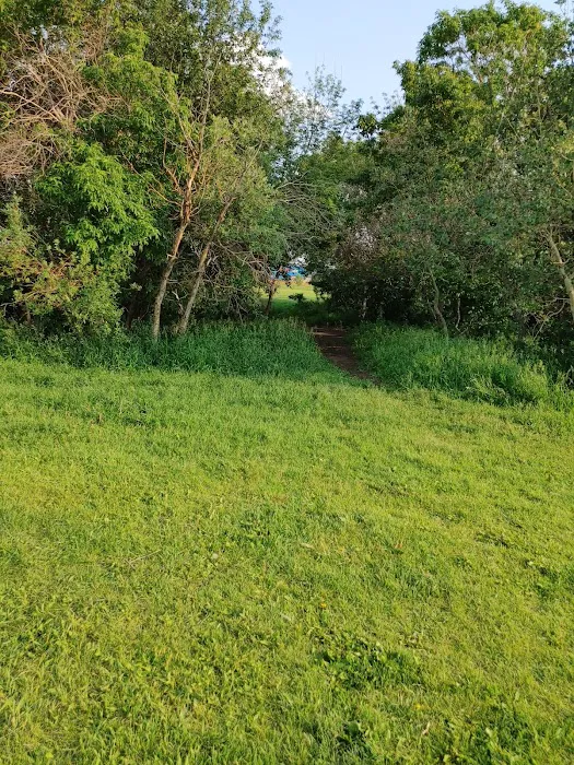 Lauderdale Dog Park 4