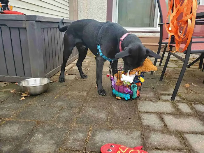 Crystal Sniffspot- PRIVATE RENTAL Dog Park 6