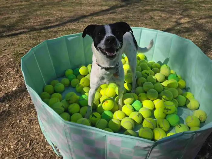 Crystal Sniffspot- PRIVATE RENTAL Dog Park 3