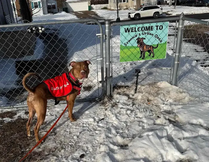Crystal Sniffspot- PRIVATE RENTAL Dog Park 4