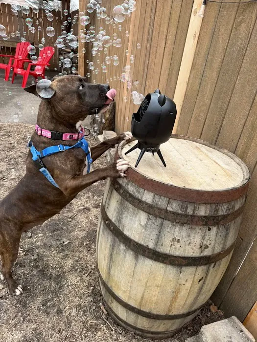 Crystal Sniffspot- PRIVATE RENTAL Dog Park 7