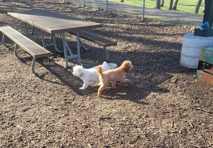 Dakota Dog Park 7