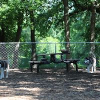 Dakota Dog Park ico