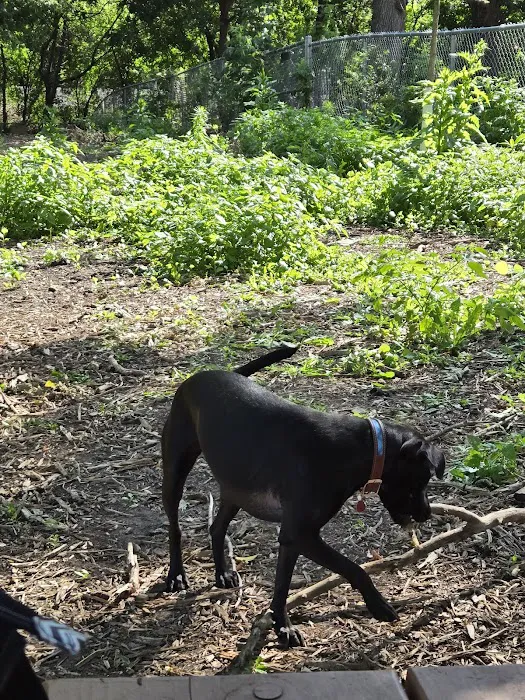 Dakota Dog Park 3