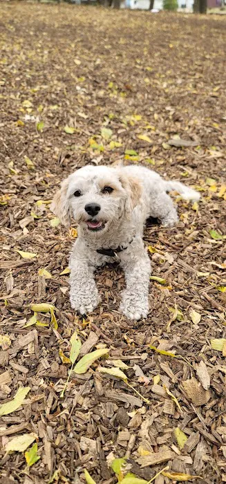 Dakota Dog Park 10